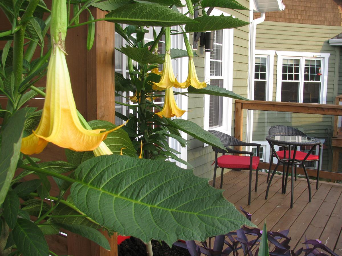 Gi'Temps Couette Et Cafe B&B Granby Eksteriør bilde